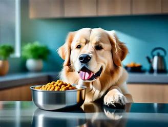 comida perros